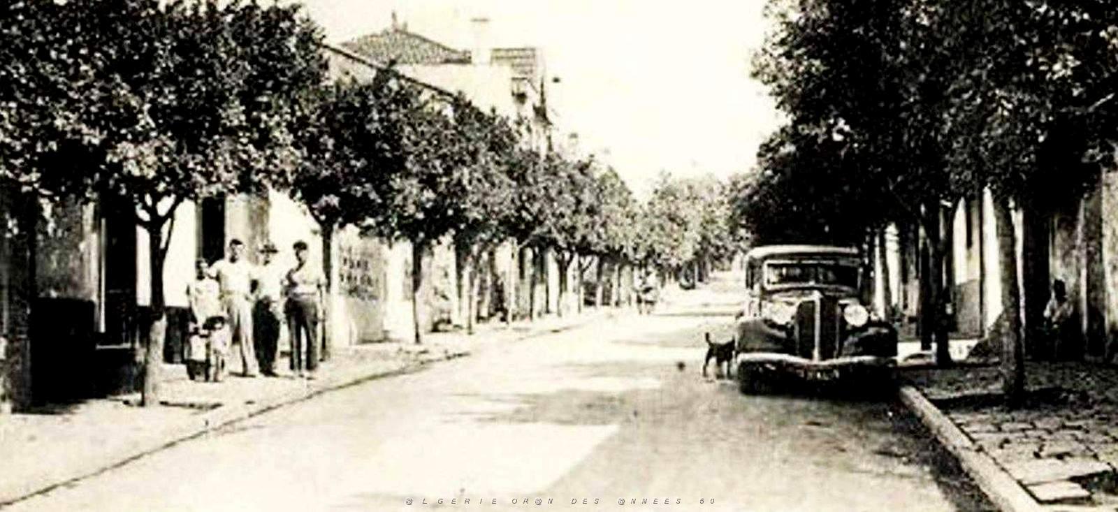 1007- Draria - Rue principale2.jpg